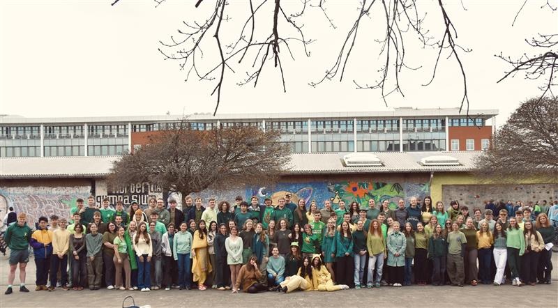 Titelbild: Der Mittwoch in grün...